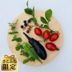 木製まんまるまな板 直径約24cm 天然ヒノキ無垢材