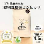 令和8年産厳選プレミアム米4.5kg精白米