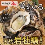 ショッピング牡蠣 ふるさと納税 延岡市 延岡産天然岩牡蠣(生食用)3kg(中)