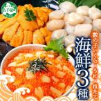 ふるさと納税 弟子屈町 数の子いくら醤油漬け 200g & うに 200g & ホタテ 300g 北海道 弟子屈町 2925