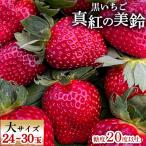ふるさと納税 大網白里市 【2026年1月発送開始】【黒いちご】真紅の美鈴 大サイズ　12玉又は15玉×2セット