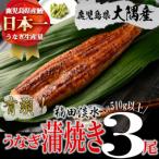 ショッピングふるさと納税 うなぎ ふるさと納税 志布志市 b2-010 楠田の極うなぎ 蒲焼き 170g以上×3尾(計510g以上)