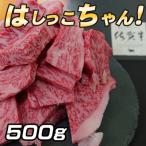 ふるさと納税 佐賀市 佐賀牛はしっこ焼肉セット500g【ロース　カルビ】