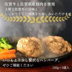 ふるさと納税 佐賀市 佐賀牛を使った贅沢ハンバーグ　150g×5個