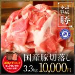 ふるさと納税 泉佐野市 氷温(R)熟成豚 国産豚切落し3.3kg