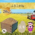 ふるさと納税 大網白里市 【令和5年産】 千葉県産「ふさこがね」玄米 20kg