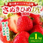 ふるさと納税 三木町 【2026年産・年内発送】三木町地域いちご部会「さぬきひめ」1kgDXパック