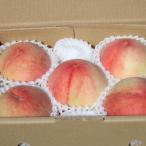 ふるさと納税 那智勝浦町 和歌山県産　桃(もも)　5玉〜6玉　秀品