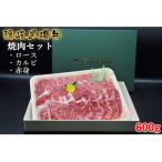 隠岐黒磯牛 焼肉セット 600g