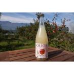 北垣外 瀧澤農園 甘口シードル OLION 750ml