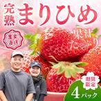 ふるさと納税 御坊市 【期間限定】 農家直送!完熟まりひめ いちご 4パック(2026年4月より順次発送)