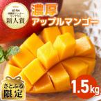 ふるさと納税 糸満市 【さとふる限定】【2025年発送】沖縄県糸満産の「濃厚アップルマンゴー」1.5kg