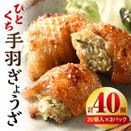 ショッピングぎょうざ ふるさと納税 宮崎市 ひとくち手羽ぎょうざ660g 20個入×2パック