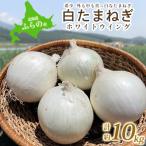 ふるさと納税 富良野市 【先行受付】10月より順次発送【北海道ふらの産】 白玉ねぎ約10kg