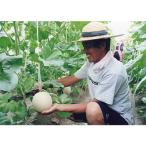 ふるさと納税 木曽岬町 木曽岬産マスクメロン　2玉(1玉1.5kg以上)　令和8年7月1日から発送