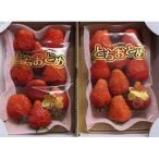 ふるさと納税 茂木町 【とちおとめデラックス】鈴木いちご園の★厳選★完熟★朝摘み★とちおとめDX　4パック入り