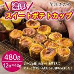 ふるさと納税 泉佐野市 芋匠さのや特製 濃厚スイートポテトカップ(12個×40g)  099H270