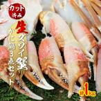 ふるさと納税 岸和田市 生ズワイ蟹 かに鍋3点セット 1kg
