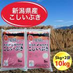 ふるさと納税 胎内市 令和5年産　新潟県胎内市産こしいぶき10kg(5kg×2袋)(精米)