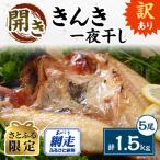 訳ありきんき一夜干し5尾セット