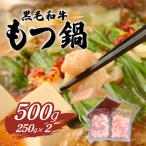 ふるさと納税 下妻市 黒毛和牛もつ鍋セット500g