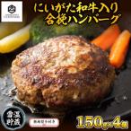 南 無地熨斗 ハンバーグ 150g