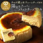 ふるさと納税 利府町 【みやぎ蔵王産クリームチーズ使用】陽気なスペインバスクチーズケーキ