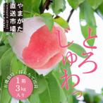 ショッピングふるさと納税 桃 ふるさと納税 山形県 【先行受付　令和6年発送】山形　もぎたて白桃3kg　ギフト箱入り　