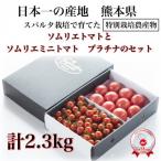 fu.... налог шар название город [ специальный культивирование сельское хозяйство производство предмет ] сомелье помидор 1.3kg. сомелье мини помидоры платина 1kg. комплект 