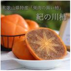 ふるさと納税 紀の川市 【2026年10月中旬以降発送】紀の川柿約2kg　和歌山県特産希少な柿!