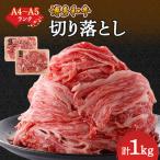 ふるさと納税 大野城市 【A4〜A5】博多和牛切り落とし 1kg (500g×2パック)