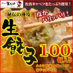 ふるさと納税 泉佐野市 甘いと評判の松波キャベツ使用!生餃子100個セット 010B530