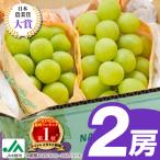 ふるさと納税 中野市 【先行受付】JA中野市から直送　シャインマスカット1kg以上　2024年9月下旬〜11月上旬発送