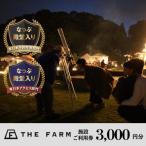 ふるさと納税 香取市 BBQやキャンプなども楽しめる複合施設 THE FARM利用券　3,000円分