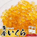 ふるさと納税 富士川町 黄金いくら2本セット