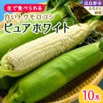 ショッピング09 ふるさと納税 富良野市 【先行受付】【北海道富良野産】生で食べられる 白いトウモロコシ　ピュアホワイト10本入り