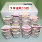 ふるさと納税 江別市 北海道江別ジェラート30種類(30個)セット<80ml×30個>