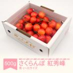 ふるさと納税 村山市 さくらんぼ紅秀峰秀品Lー2L玉(約500g×1パック)
