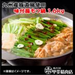 ふるさと納税 日向市 【(株)甲斐精肉店】九州産味付豚もつ鍋 1.6kg(400g×4袋) 109