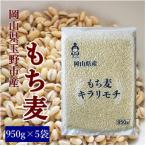 ふるさと納税 玉野市 岡山県玉野市産 もち麦 キラリモチ 950g×5袋