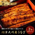 河津大川屋うなぎ 炭火直焼き2尾セット