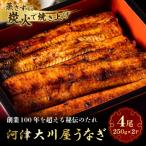 河津大川屋うなぎ 炭火直焼き4尾セット