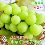 ふるさと納税 山梨市 農園直送! シャインマスカット 約2kg(3〜5房入り) ふるさと納税