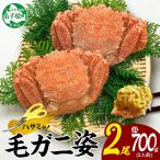 ふるさと納税 弟子屈町 毛蟹 姿 2尾 計700g前後 ボイル 食べ方ガイド・専用ハサミ付 北海道 弟子屈町 1262