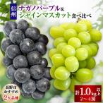 ショッピングふるさと納税 ふるさと納税 長野市 【2024年先行受付】ナガノパープル&シャインマスカット食べ比べセット(計約1.1kg以上)