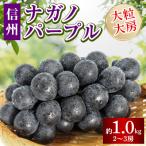 ふるさと納税 長野市 ナガノパープル皮ごと旨い!大粒大房 2〜3房(約1.2kg)