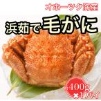 ふるさと納税 北見市 オホーツク海産　浜茹で毛がに　約400g×1パイ(冷蔵)