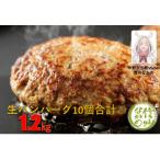 ふるさと納税 中野市 和牛入り生ハンバーグ　10個セット