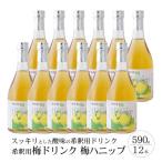 希釈用梅ドリンク 梅ハニップ12本セット