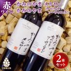 ふるさと納税 山梨市 ワイン サントネージュワインが贈る メルロー カベルネソーヴィニヨン 2本 セット